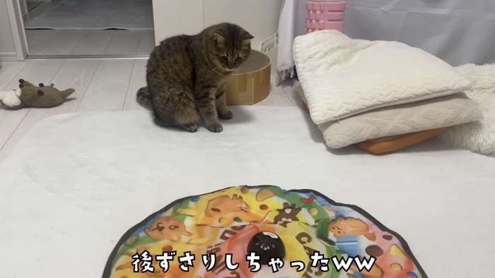 「後ずさりしちゃったww」のテロップ写真