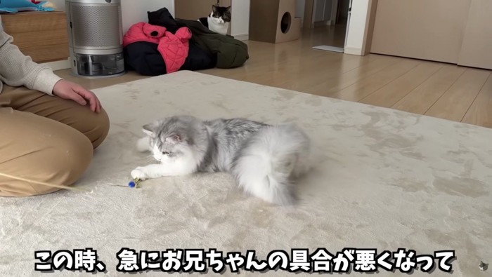 体調不良が発覚