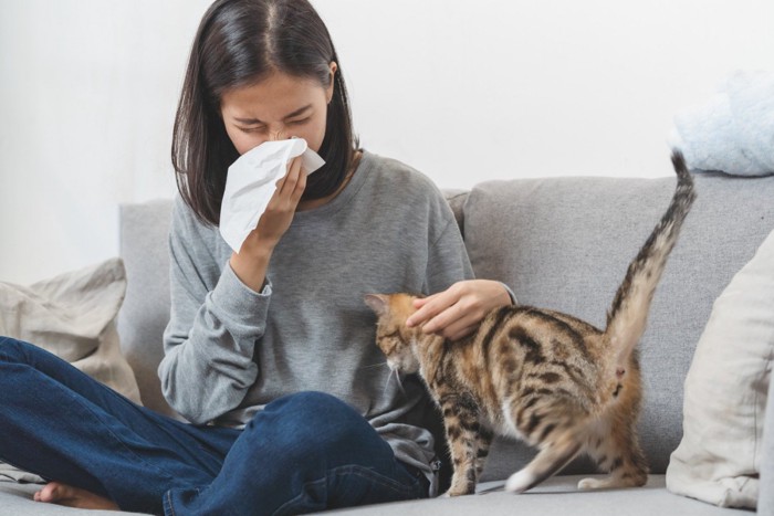 猫に触りながらくしゃみをする女性