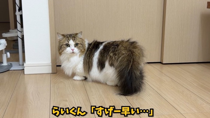 すげー早い…