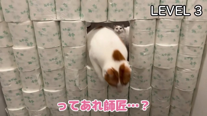 穴をくぐる師匠