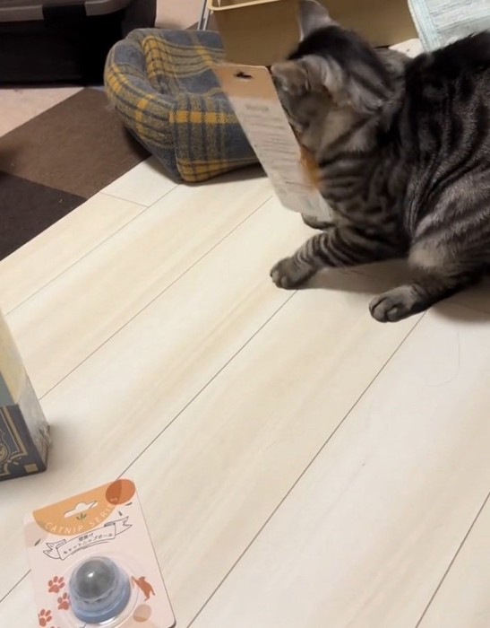 必死に首を振り回すファミマルちゃん