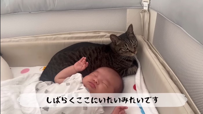 しばらくここに