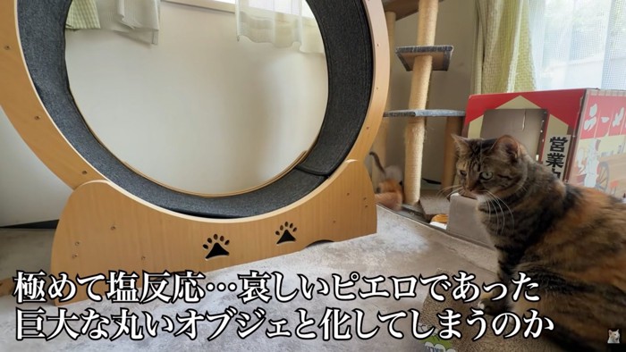 テロップ「極めて塩対応~」