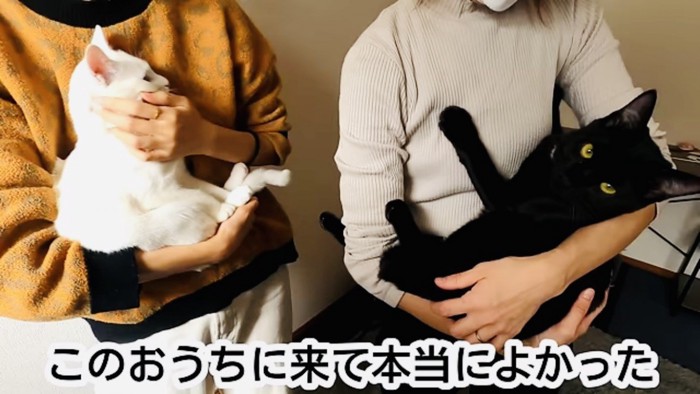 トライアルの家で抱っこされる白猫と黒猫