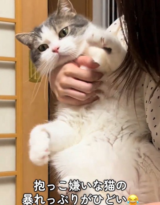 抱っこされるうるくん