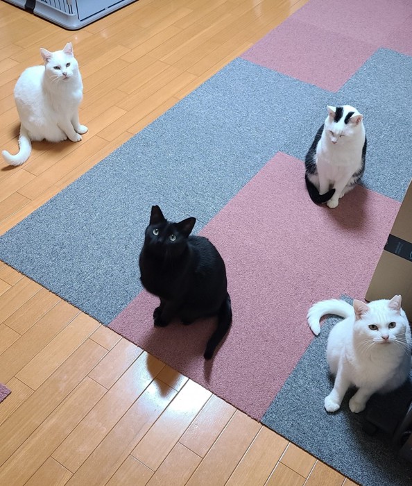 おもちちゃんと子どもたち