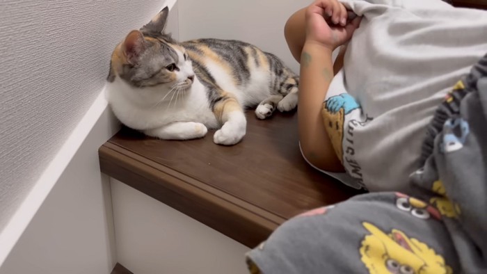 男の子の話を聞く猫