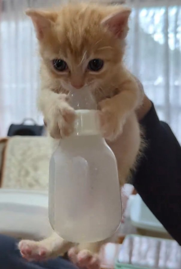 哺乳瓶を抱えるチャッピーくん