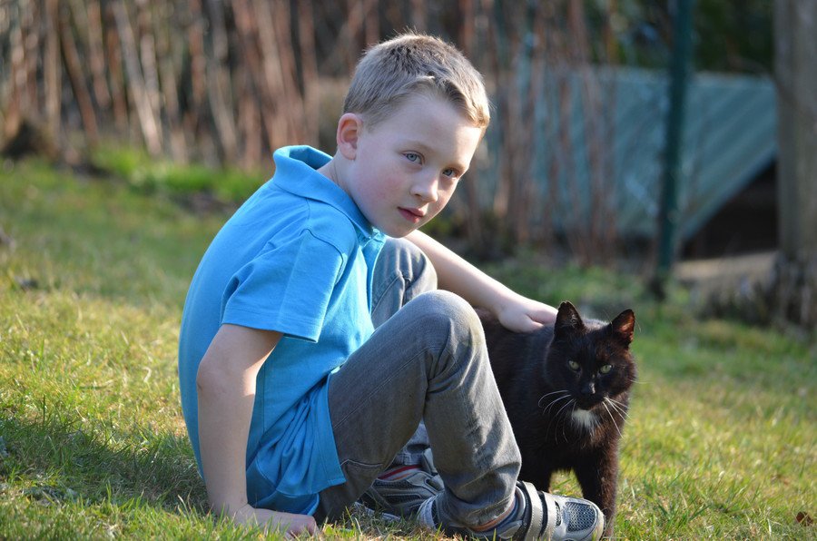 黒猫をなでる少年