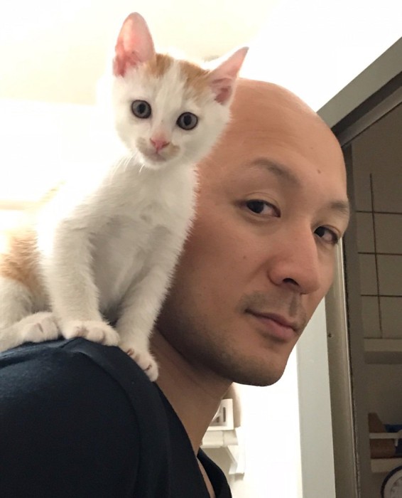 男性の方に乗る子猫