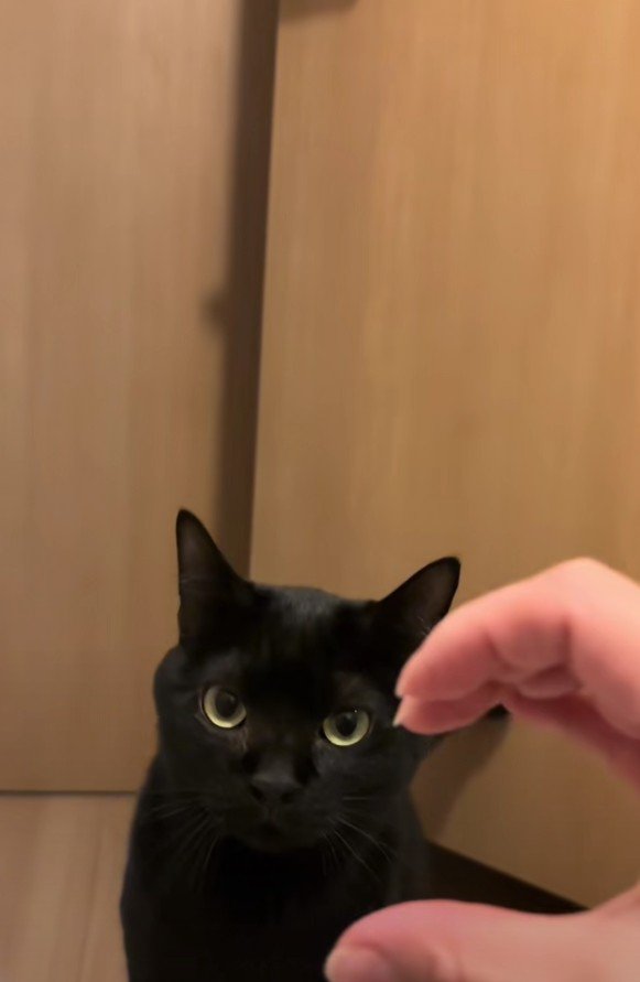 手で作った半分ハートと虎徹くん