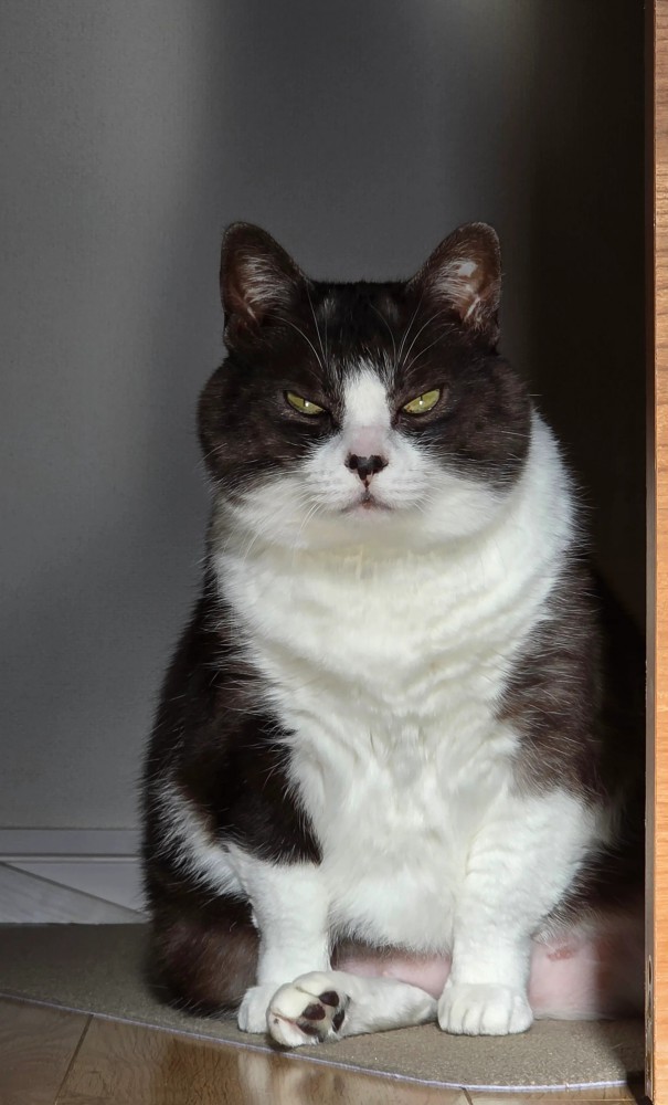 現在のつなちゃん