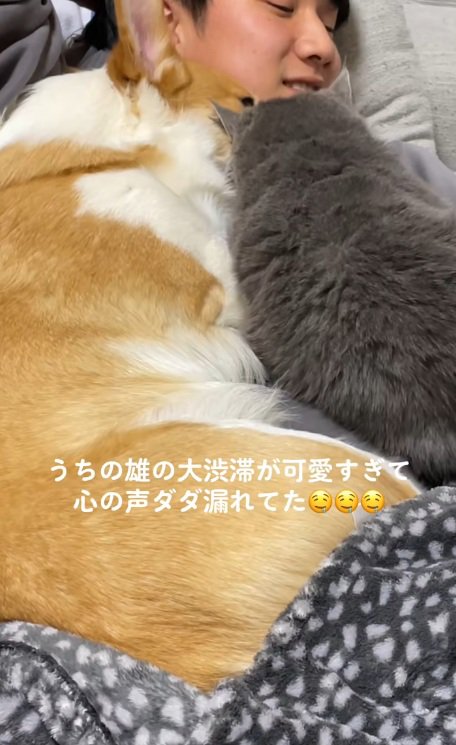 犬と猫と寝ている飼い主