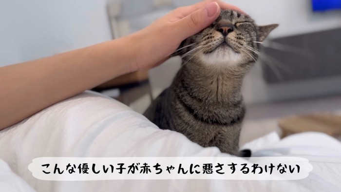 テロップ「こんな優しい~」