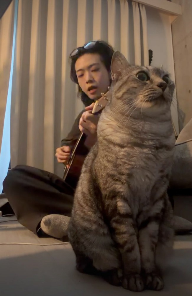 男性の手前で演奏を聴く猫3