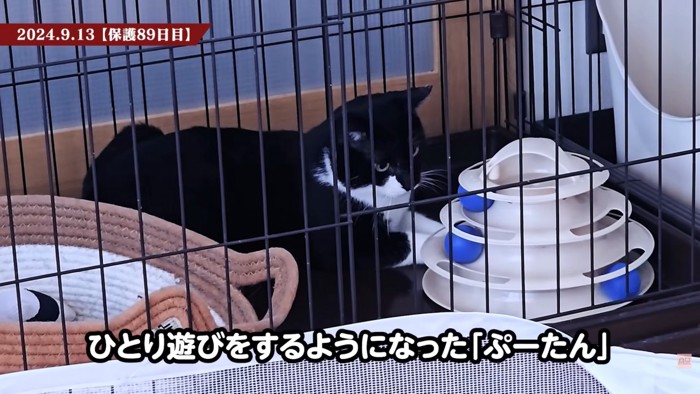 テロップ「ひとり遊びを~」