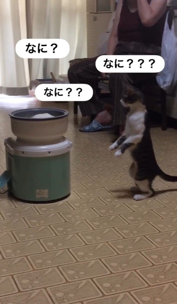 「なに？」と三回書かれた写真