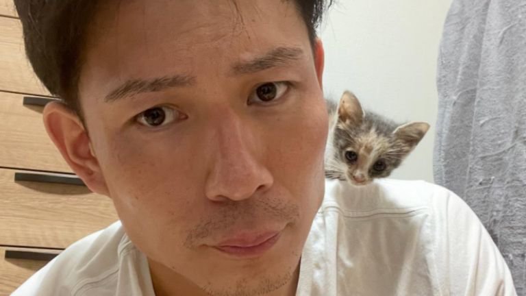 肩に乗っている猫