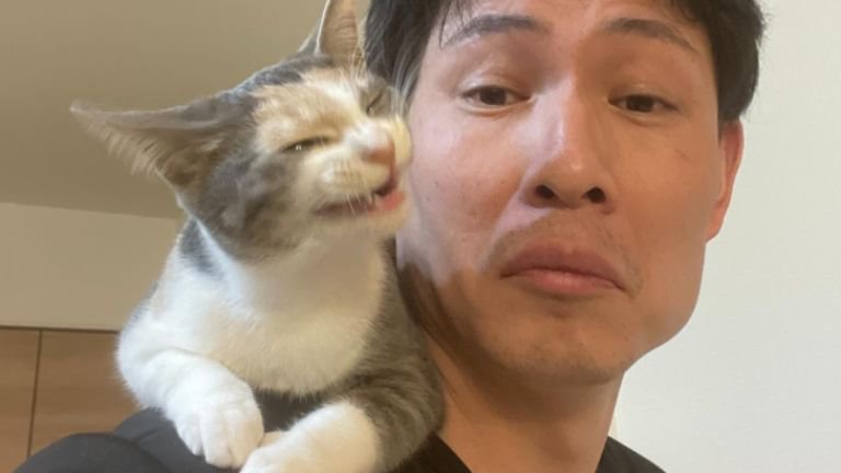 肩に乗っている猫