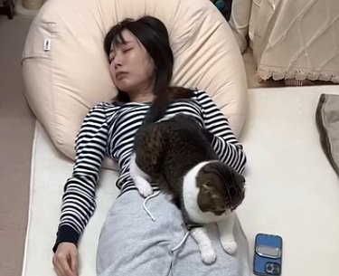 眠っているママの上でくつろいでいる猫