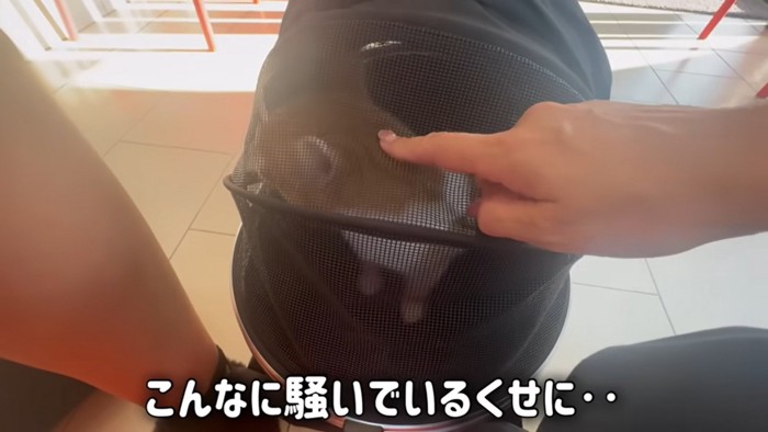 待合室でも鳴くチャチャくん