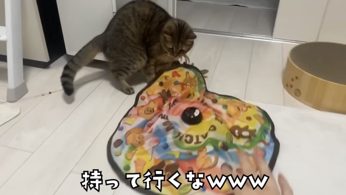 「持っていくなwww」のテロップ写真