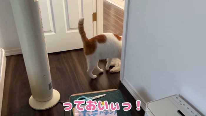 つくしちゃんをまたぐ師匠