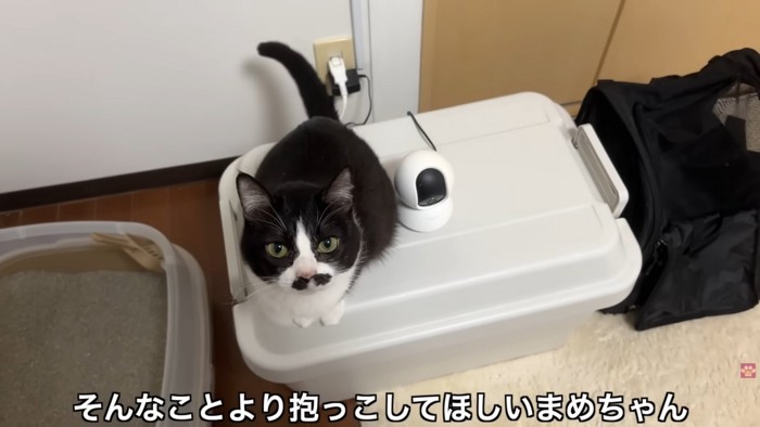 テロップ「そんなことより～」