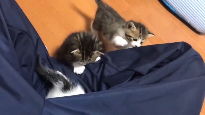 潜り込み