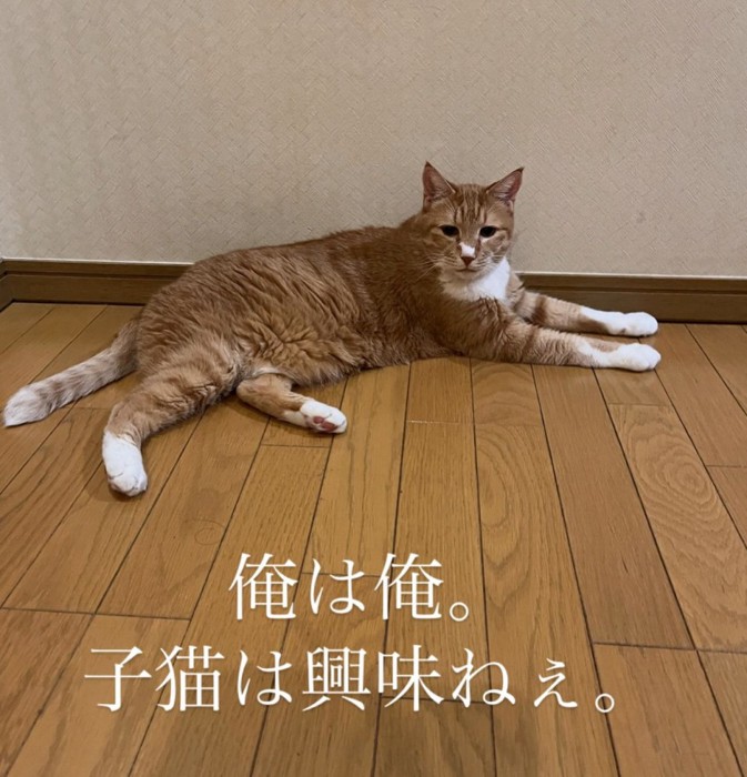 がんもくん