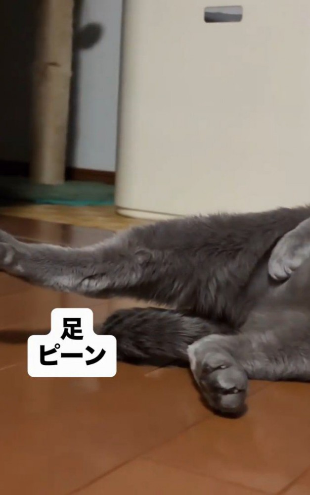 「足ピーン」と書かれた写真