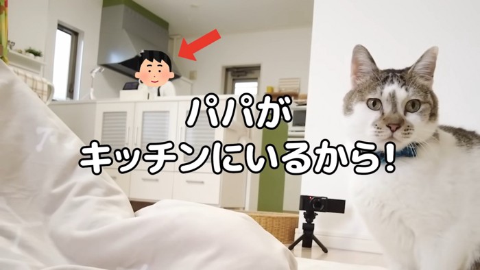 ソワソワのささみくん