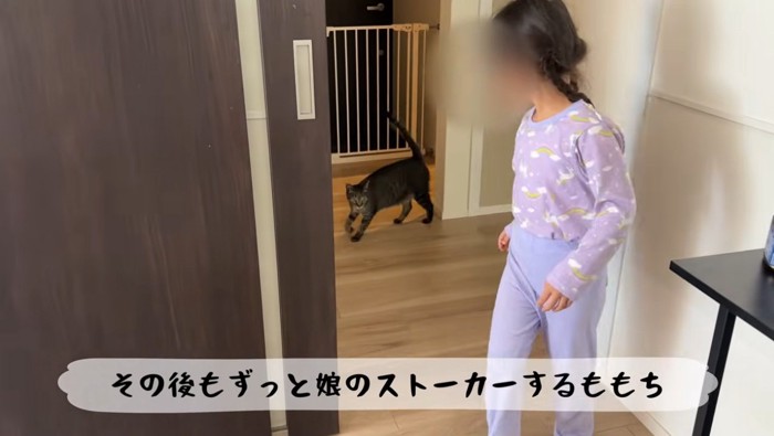 女の子のあとをついてまわる猫