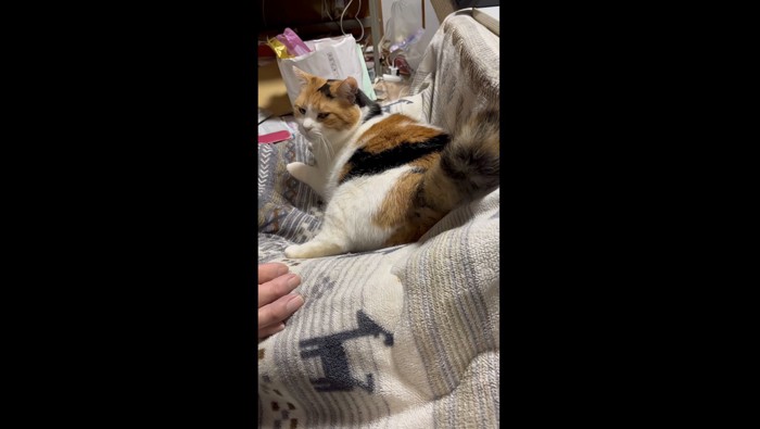 満足そうな表情のミケ