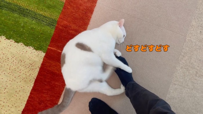 次男さんの足を蹴り始めた様子