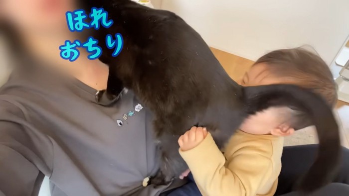 「ほれおちり」