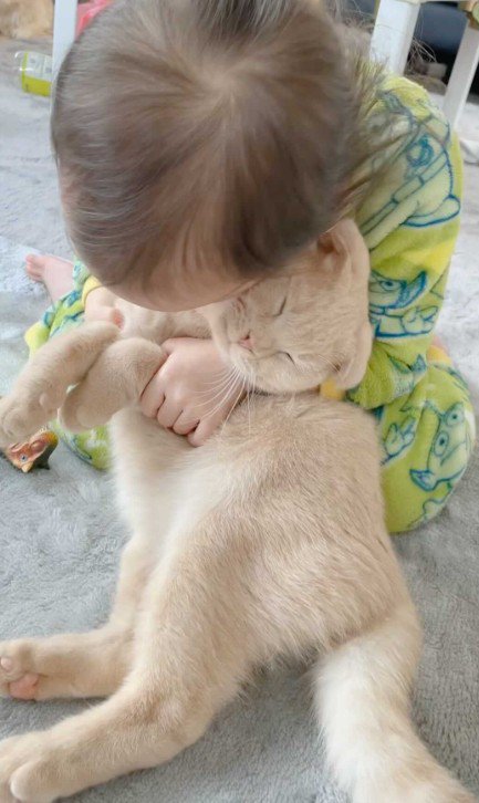 猫を抱きしめる女の子