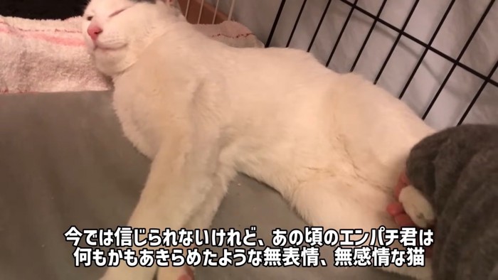 テロップ「今では信じられないけど~」