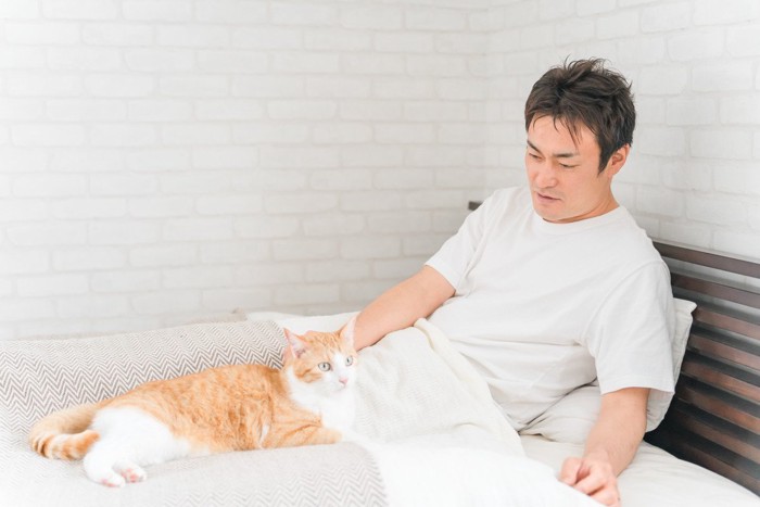 男性と添い寝する猫
