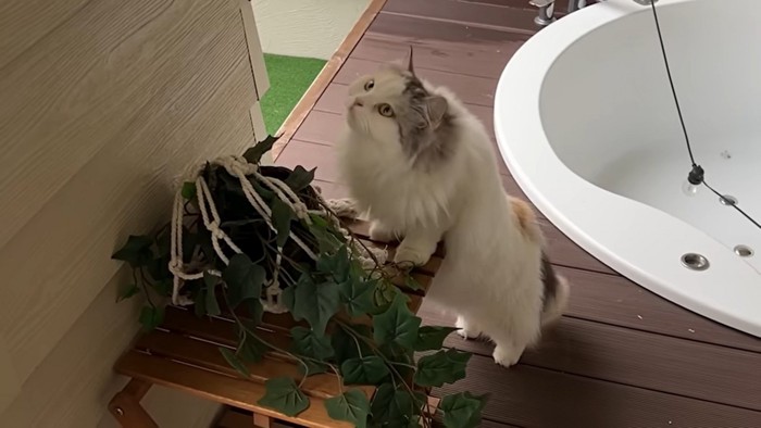 「もう少しツバメと遊びたかったな～」