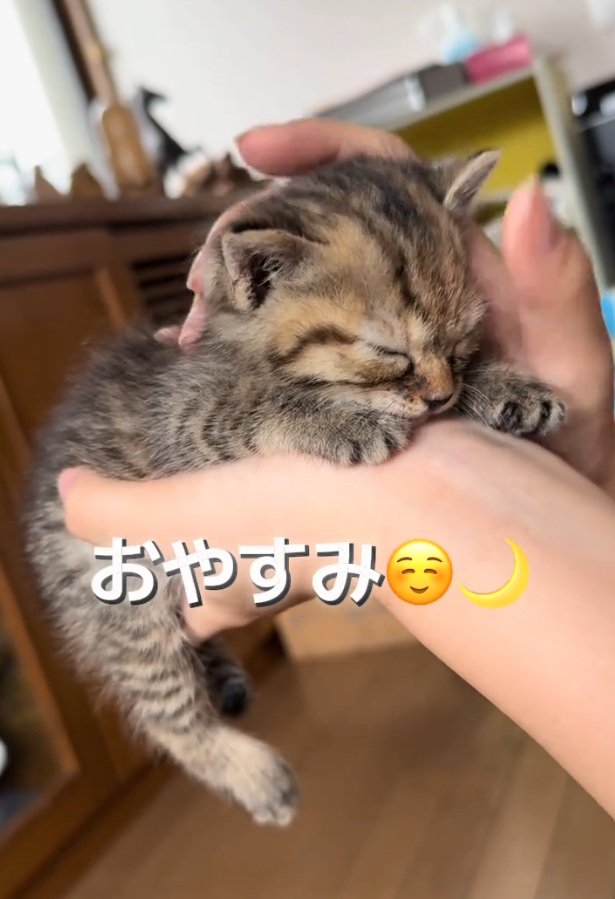 眠るツナちゃん