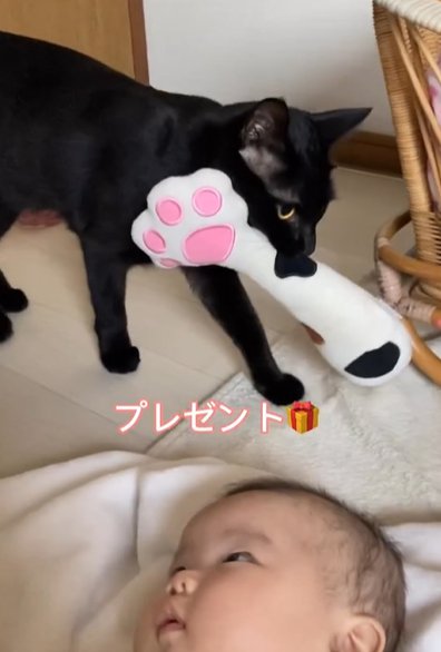 赤ちゃんのすぐ上にオモチャを咥えた黒猫