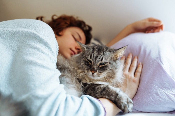 腕枕で寝る猫