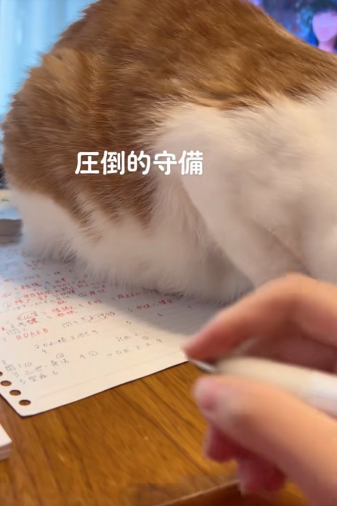 宿題に手を伸ばす