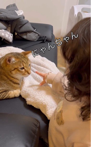 ソファに座っている猫と猫を指さしている子ども