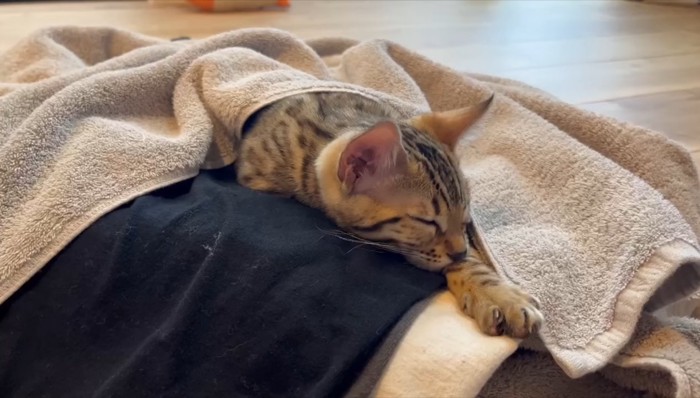 タオルに包まれて