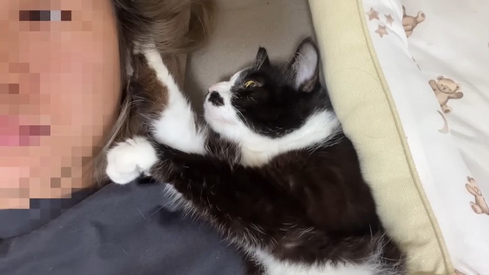 顔の横