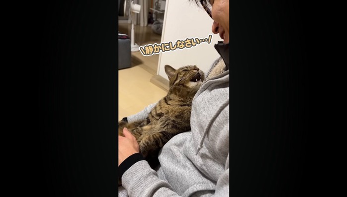 静かにしなさい