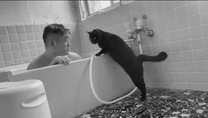 浴槽の縁に前足をかける猫